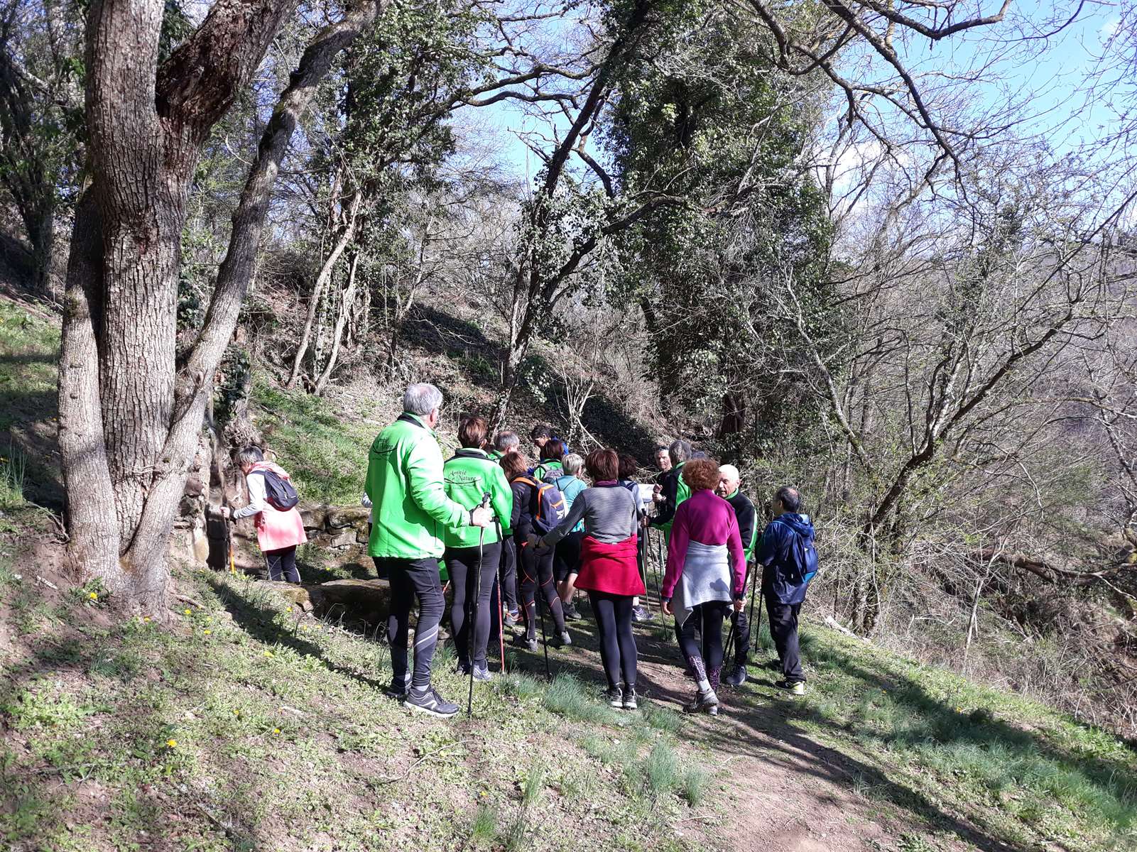 Le Bois de Lassoux