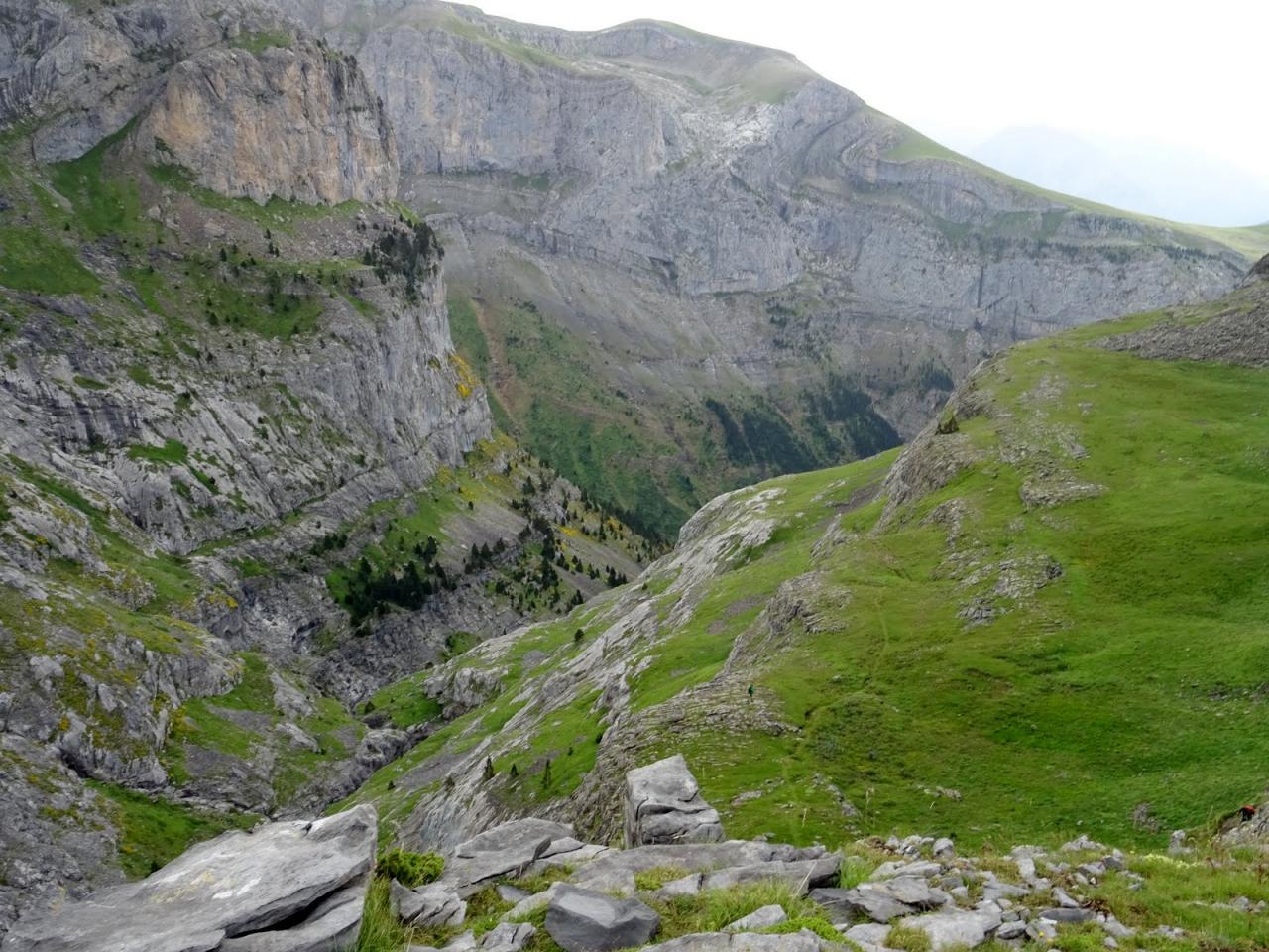 PYRENEES