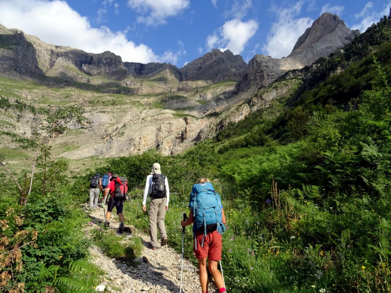 PYRENEES