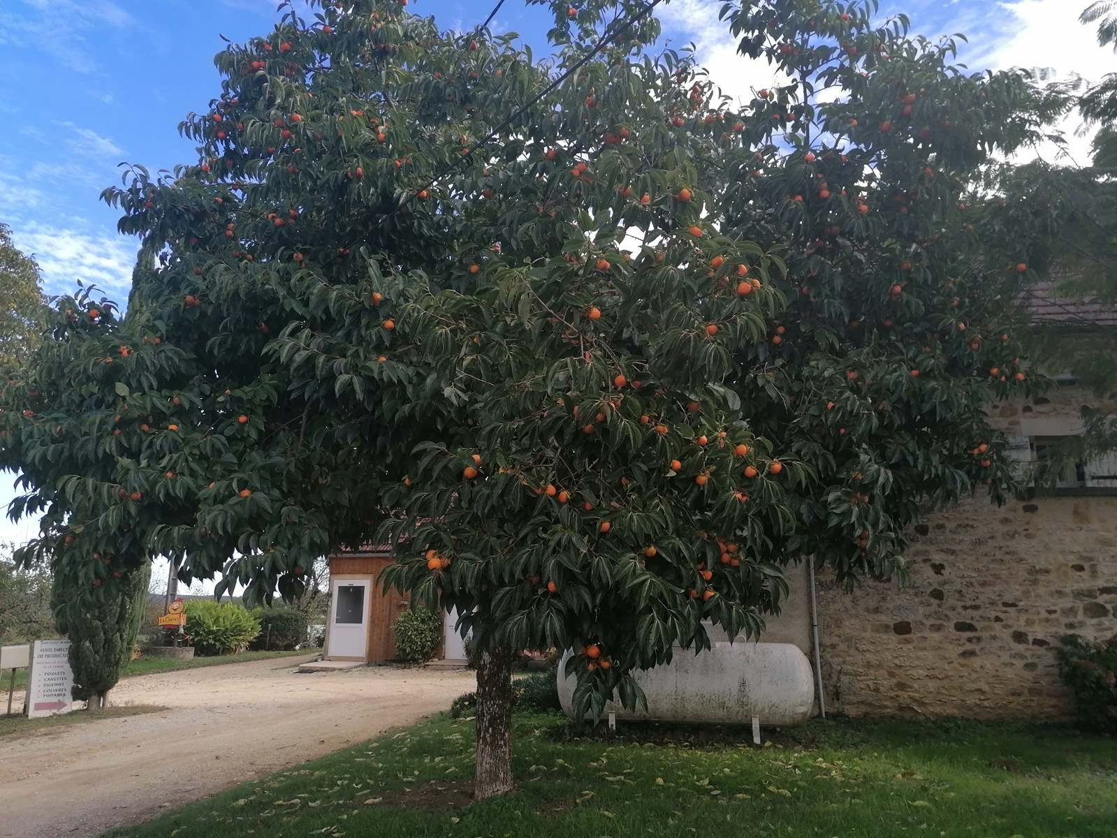 De Cazoules à Salignac Eyvigues