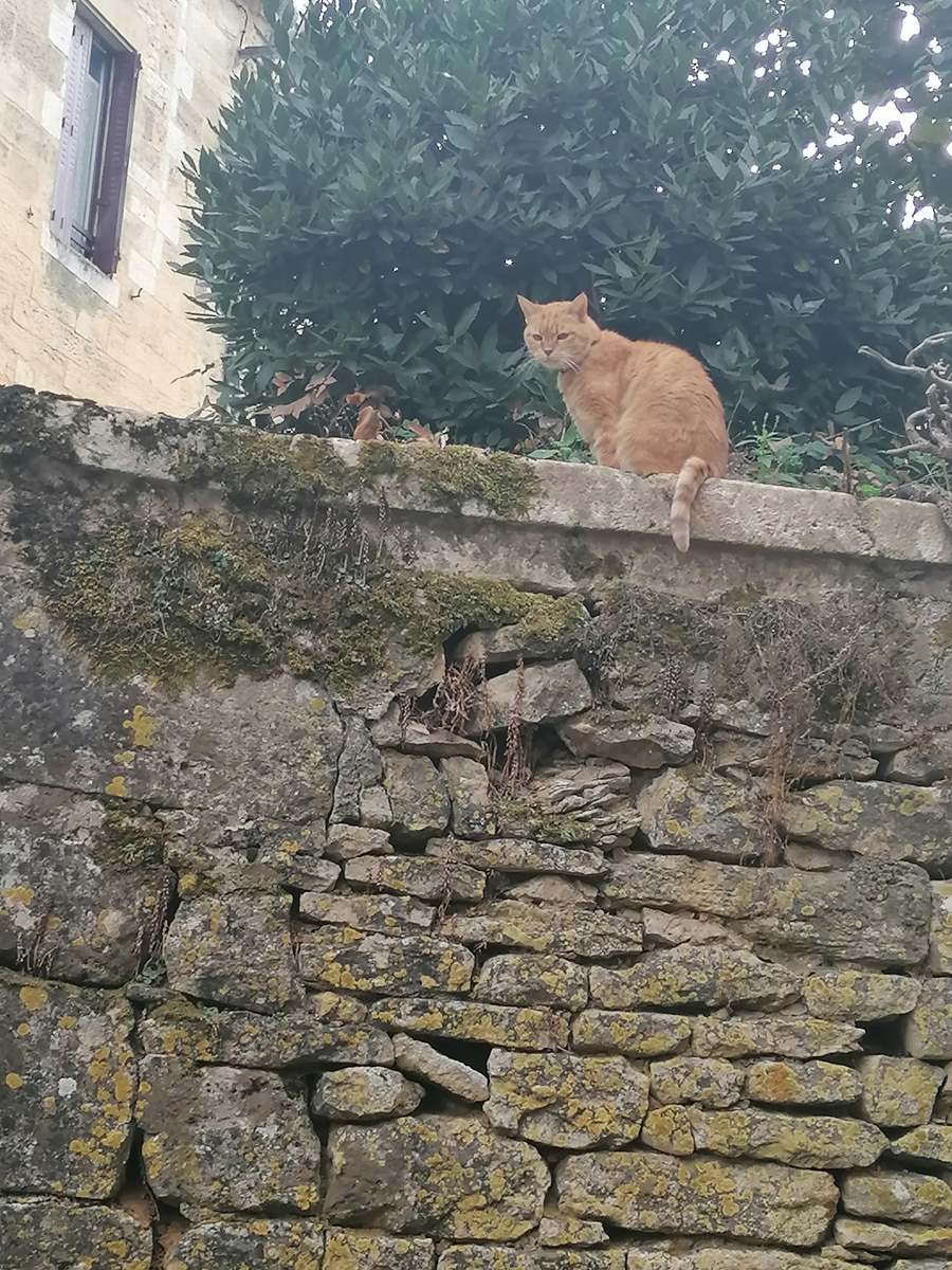 De Cazoules à Salignac Eyvigues