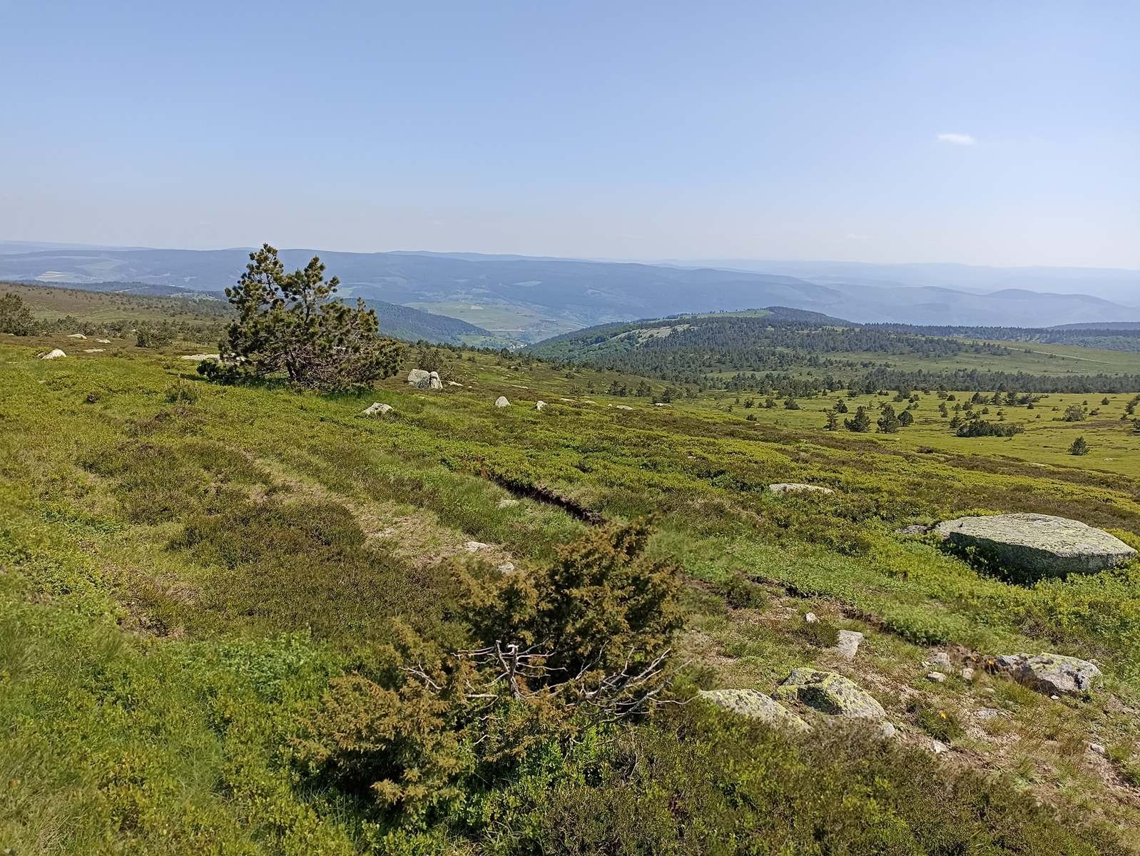 15 Juin: Huitième étape du Bleymard au Pont-de-Montvert par le Mont Lozère (1699m)