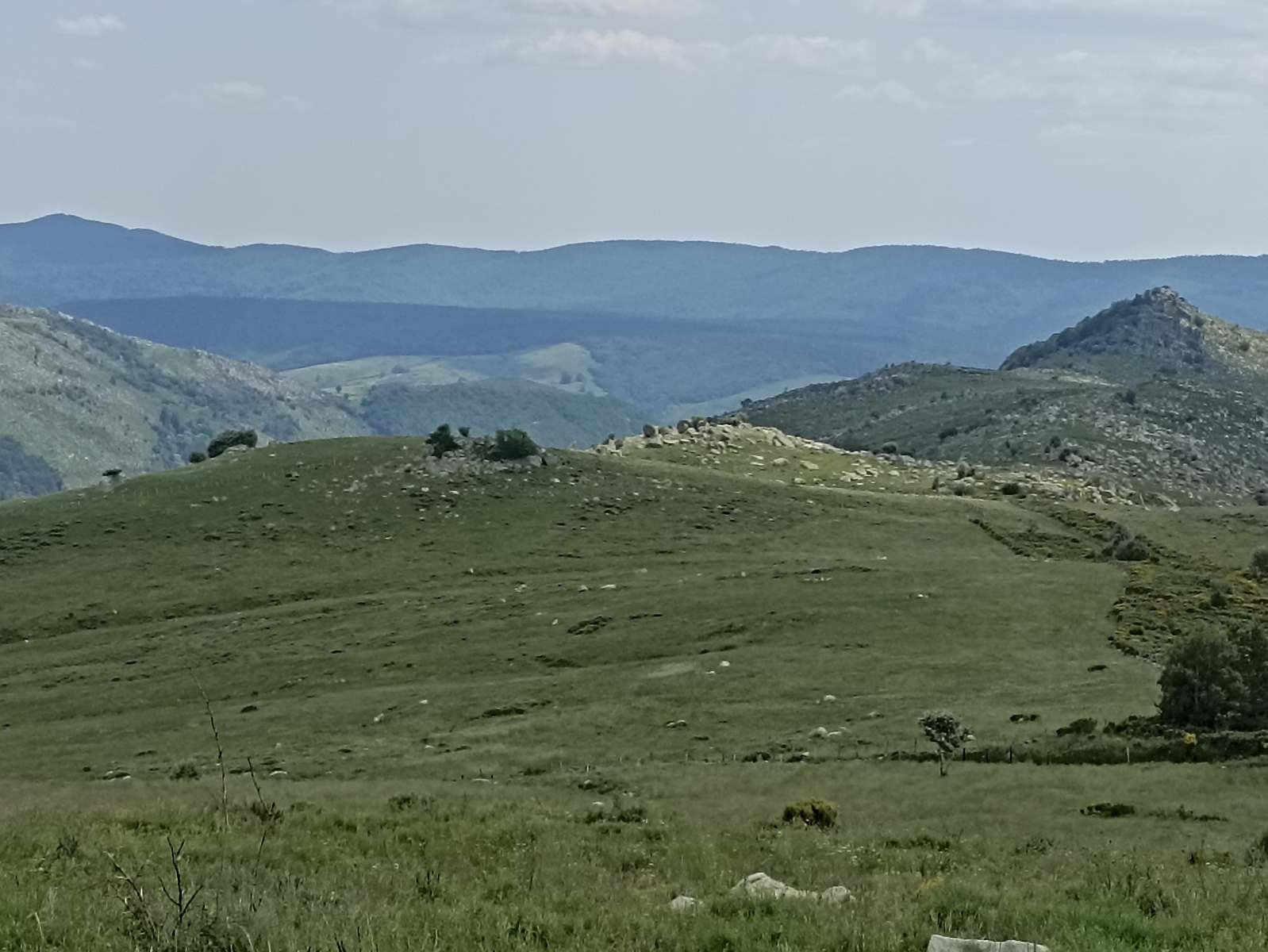 15 Juin: Huitième étape du Bleymard au Pont-de-Montvert par le Mont Lozère (1699m)