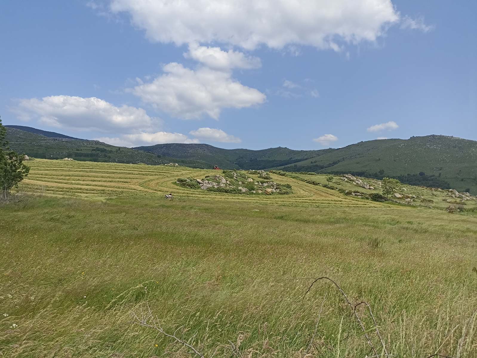 15 Juin: Huitième étape du Bleymard au Pont-de-Montvert par le Mont Lozère (1699m)