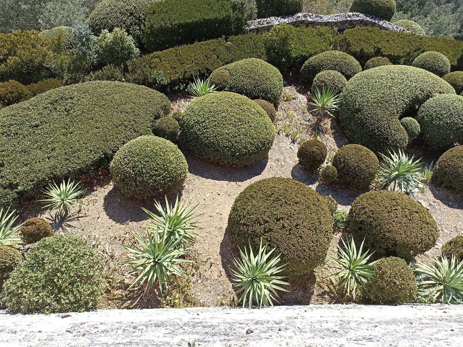 Lundi 16: Jardin de Marquessac