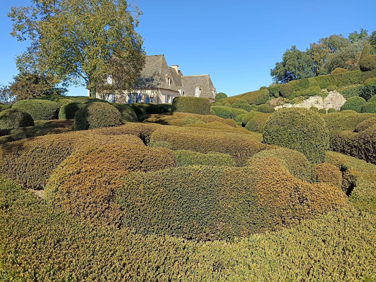 Lundi 16: Jardin de Marquessac