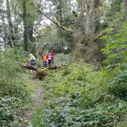 La Petite Suisse- Obstacle sur le parcours