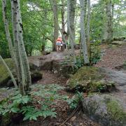 Sur les chemins de Creuse