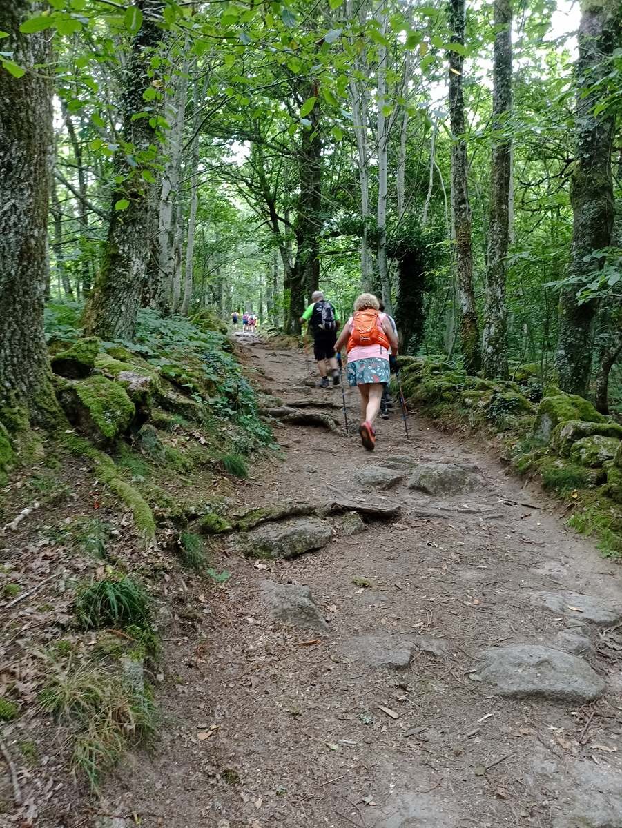 Sur les chemins de Creuse