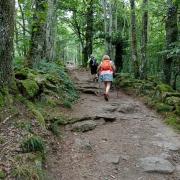 Sur les chemins de Creuse