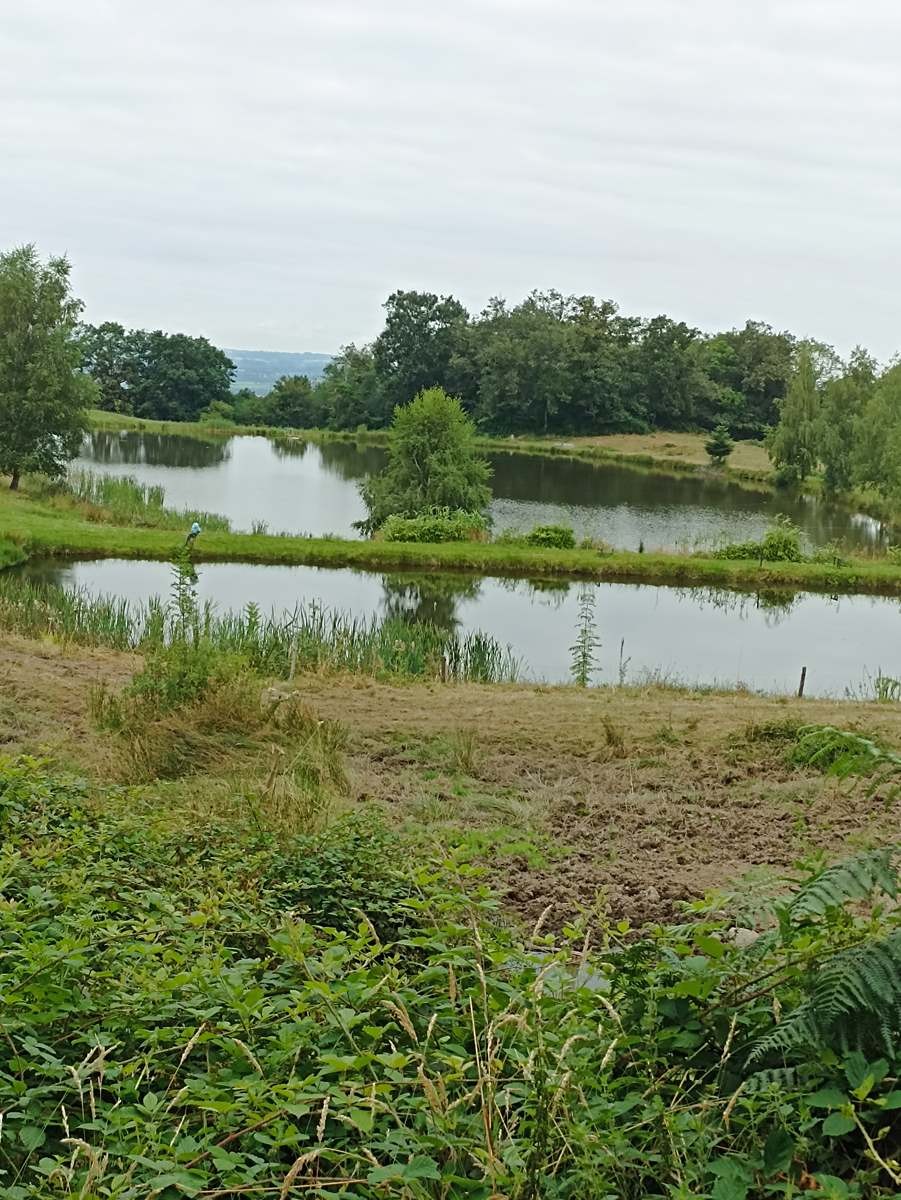 Sur les chemins de Creuse