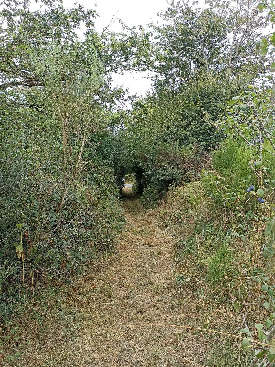 Sur les chemins de Creuse