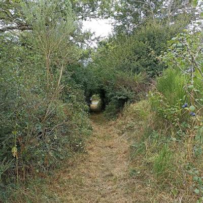 Sur les chemins de Creuse