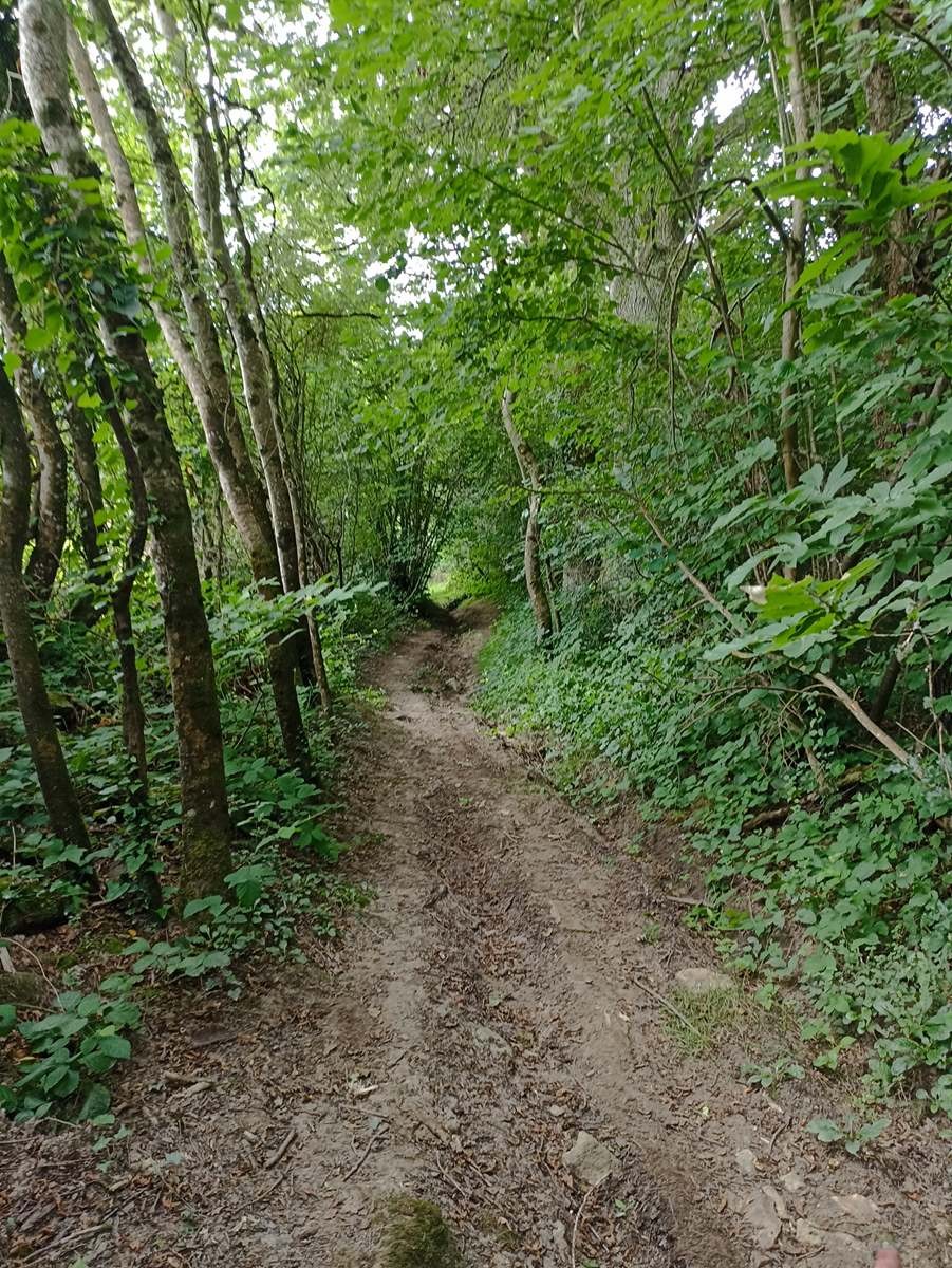 Sur les chemins de Creuse