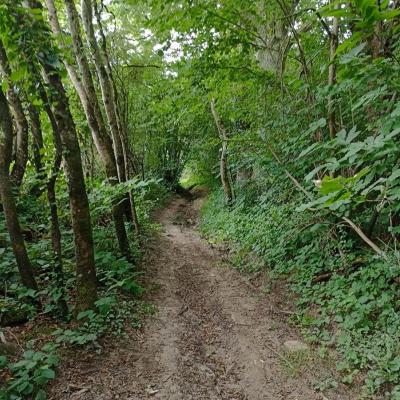 Sur les chemins de Creuse