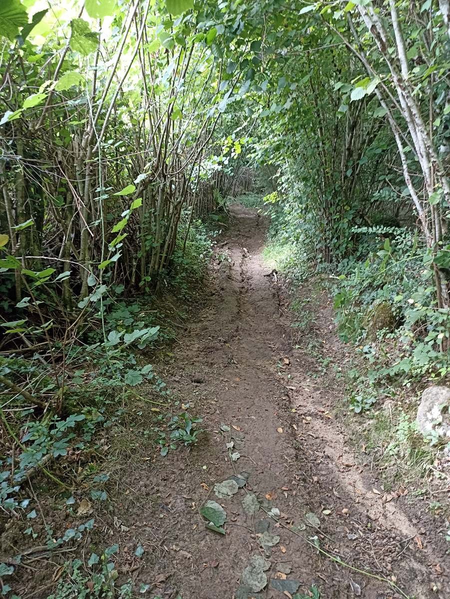 Sur les chemins de Creuse