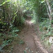 Sur les chemins de Creuse