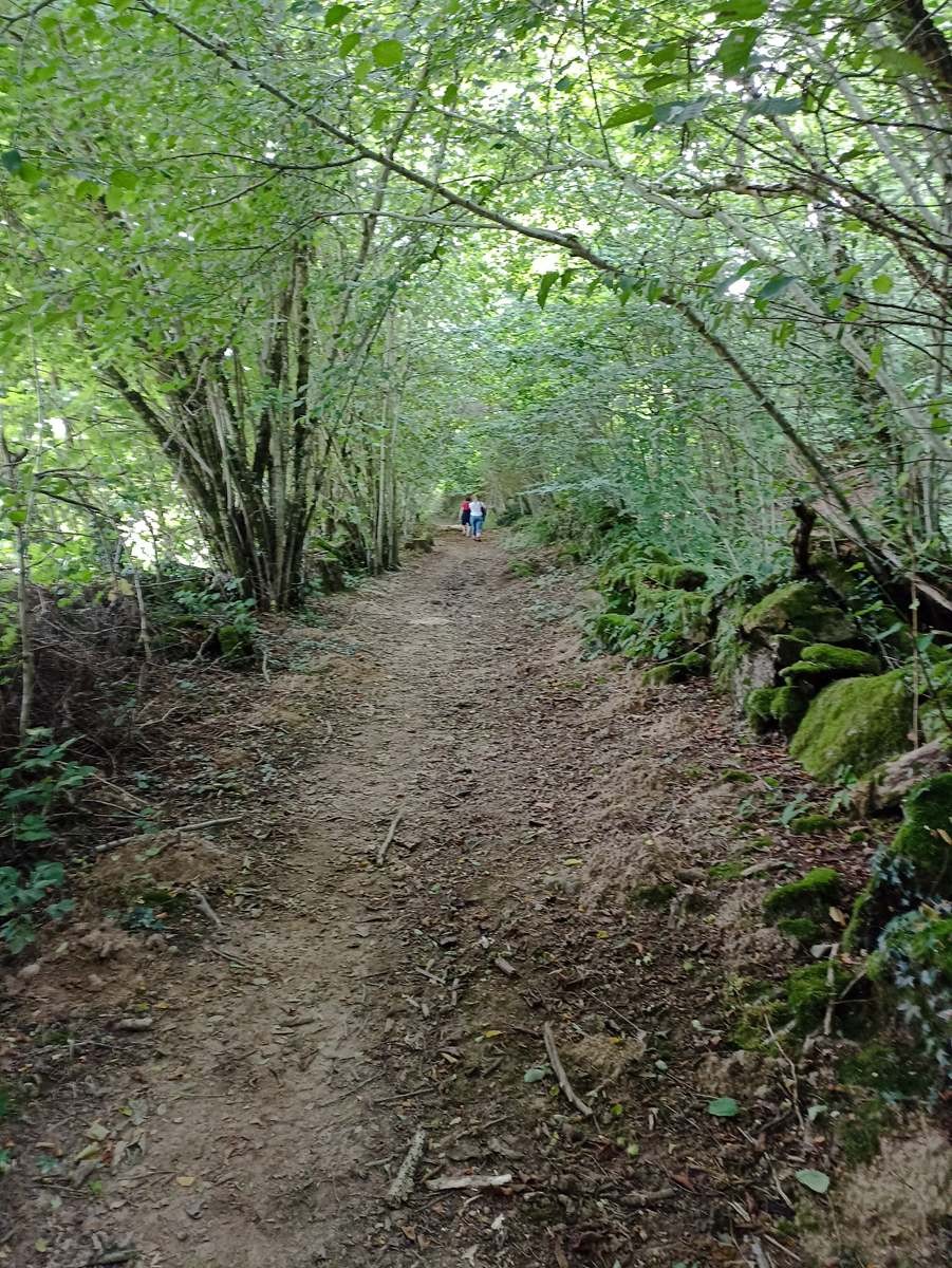 Sur les chemins de Creuse