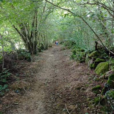 Sur les chemins de Creuse