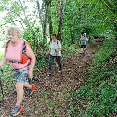 Sur les chemins de Creuse