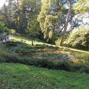 Château des Milandes-11 Octobre 2024