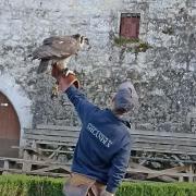 Château des Milandes-11 Octobre 2024