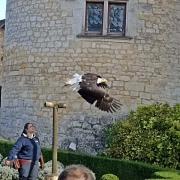 Château des Milandes-11 Octobre 2024