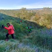 Rando Beaujolais Désertines - Dans la côte