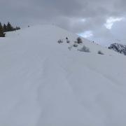 Raquettes à la Bourgeoise à partir du Col de Joux Plane