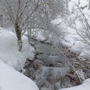 Raquettes secteur Praz de Lys