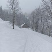 Raquettes secteur Praz de Lys