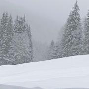 Raquettes secteur Praz de Lys