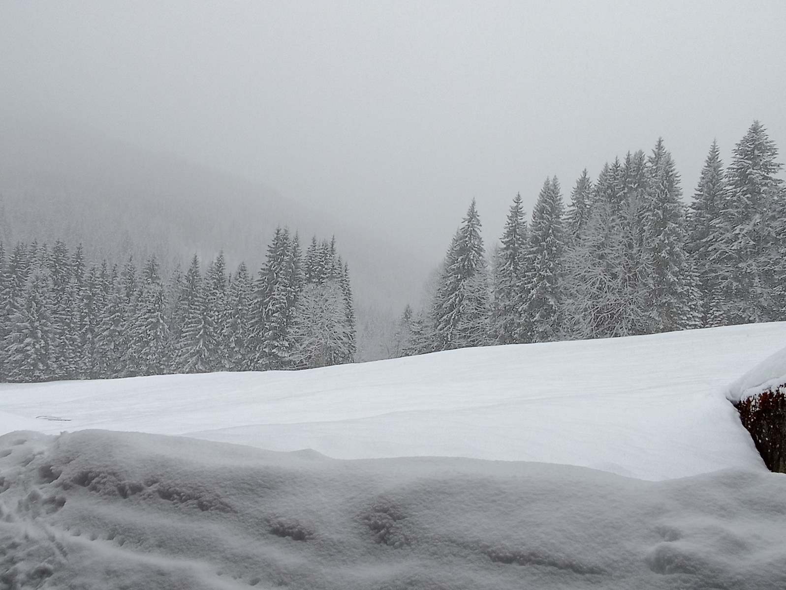 Raquettes secteur Praz de Lys